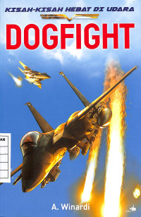 Kisah-Kisah Hebat di Udara : Dogfight