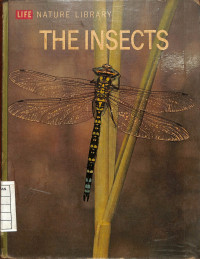 Life Nature Library : The Insects