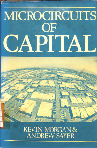 Microcircuits of Capital