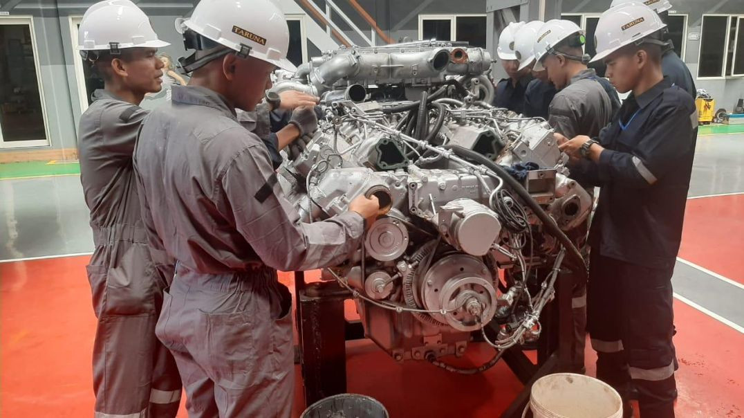 ⁣lattek medium overhaul